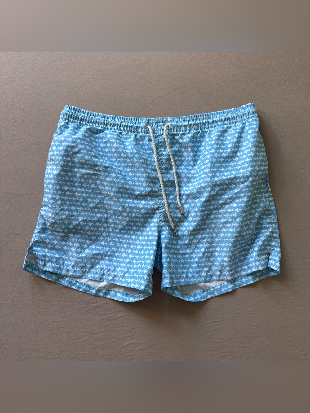 Blue Coast Fish Print Swim Shorts